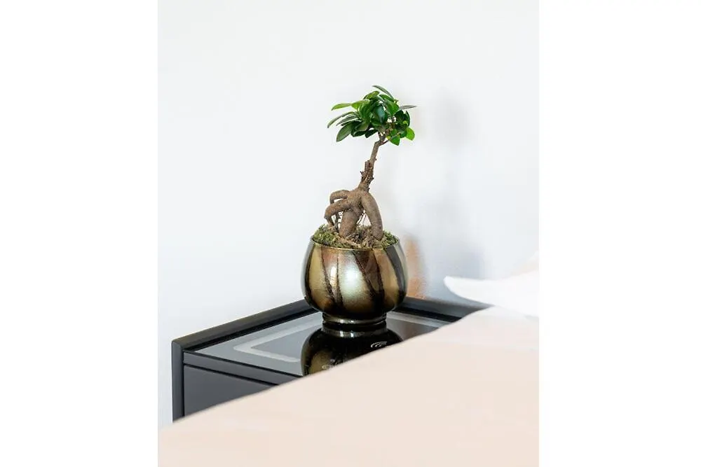 Bes Residence Bergamo Polaresco Italie